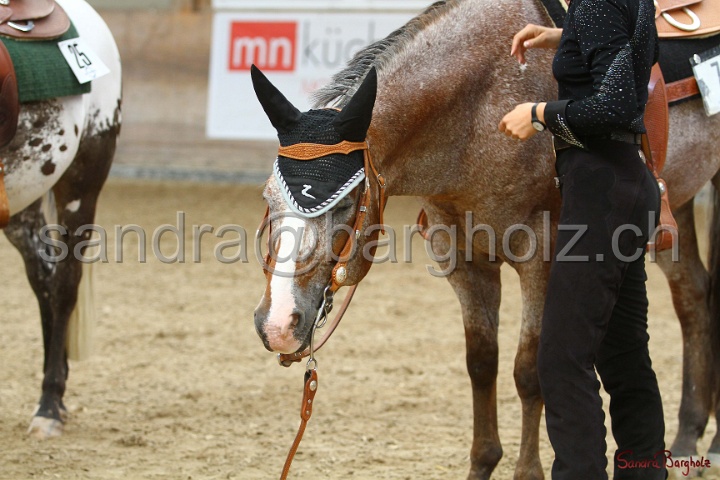32-ApHC OWP_032.jpg